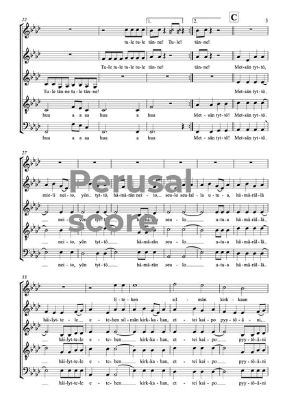 Metsän tyttö SATB